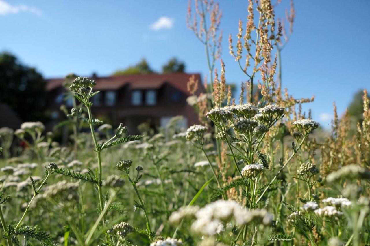 Ferienwohnung Mohnblume Pulzig Екстер'єр фото