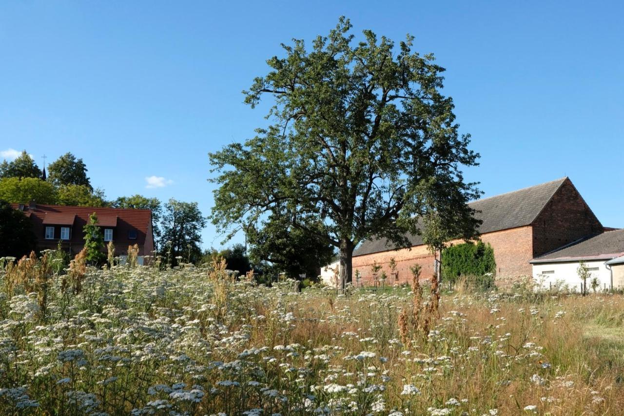 Ferienwohnung Mohnblume Pulzig Екстер'єр фото